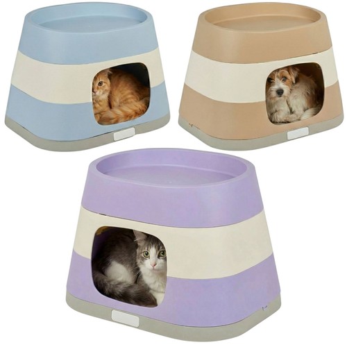 Dog cat pet home - dog,