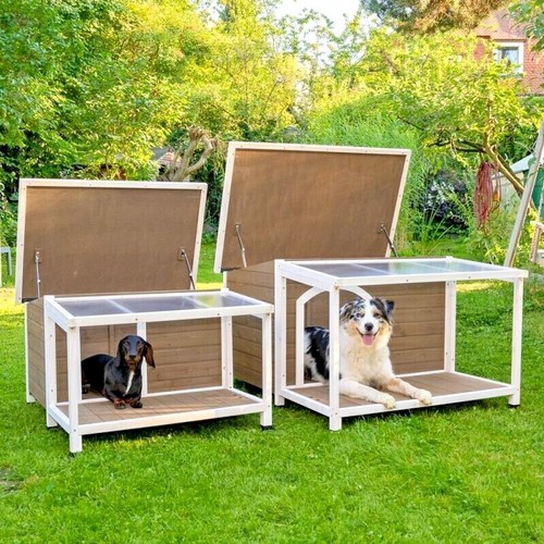 Outdoor dog kennel - kennel, outside