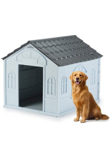 Outdoor large dog - outdoor,
