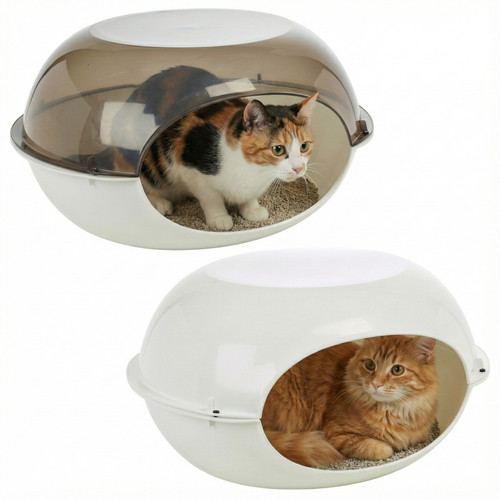 Pet cat kitten - kitten, hooded