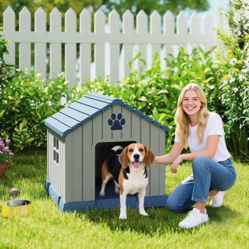 Outdoor dog kennel for - outdoor,