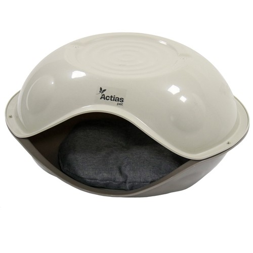 Cat kitten pet house - kitten,