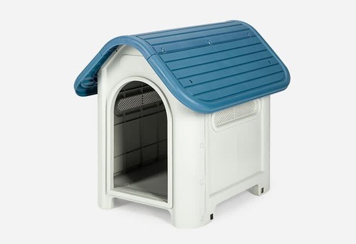 Pet living indoor - pet,