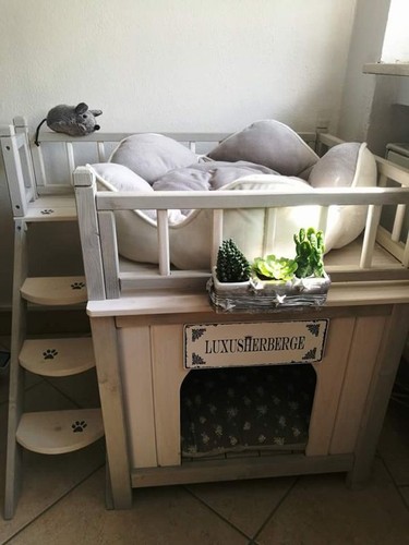 Outdoor cat dog den - cat,