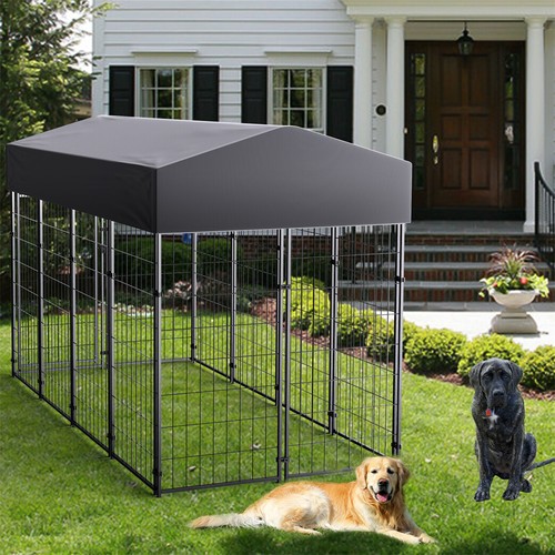 Outdoor large dog - outdoor, pet