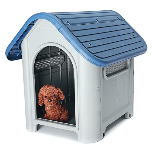 Outdoor indoor garden - outdoor, pet