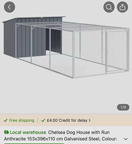 Chelsea outdoor dog - outdoor, kennel