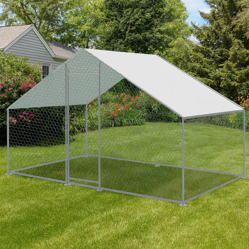 Kct 2x3m walk dog - 2x3m, in