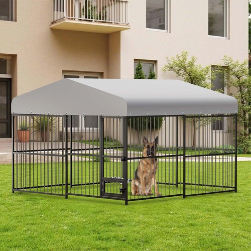 Luxury outdoor dog kennel - outdoor,