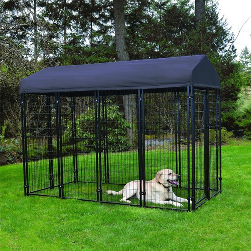 Xxl outdoor dog - xxl, walk