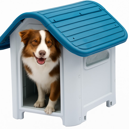 Plastic dog pet - plastic,
