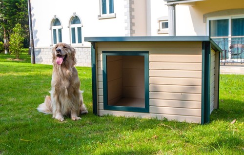 Plastic dog kennel cabin twin - dog,